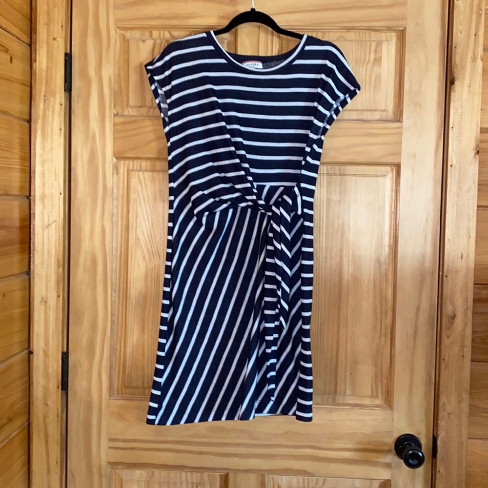 Navy and white striped dress